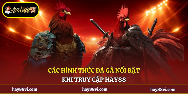Các hình thức đá gà nổi bật khi truy cập Hay88
