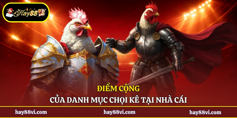 Điểm cộng của danh mục chọi kê tại nhà cái